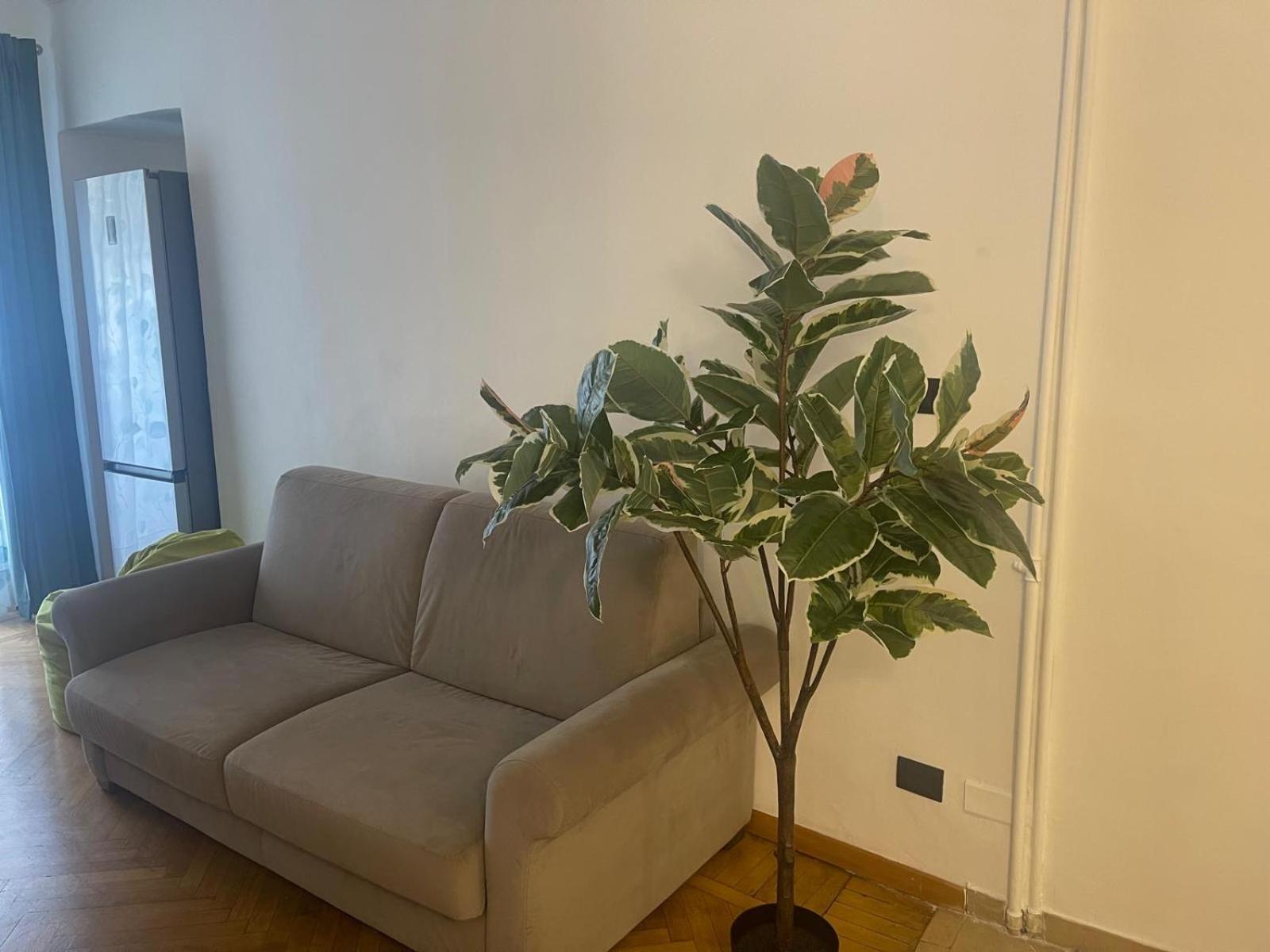 Torino Natura In Centro Kültér fotó
