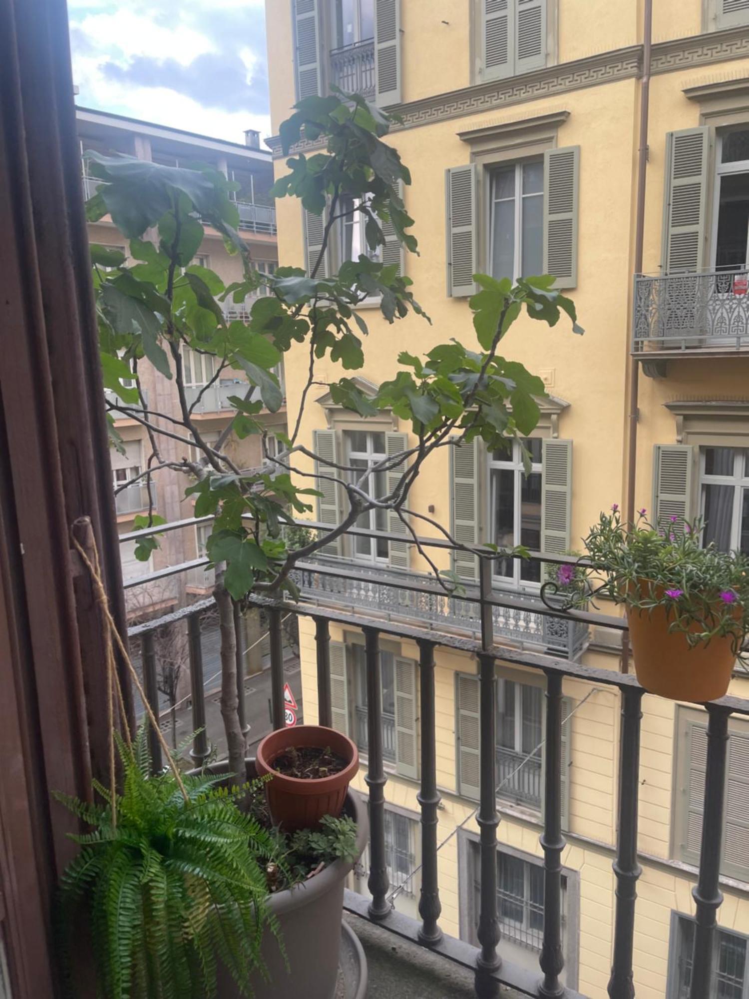 Torino Natura In Centro Kültér fotó